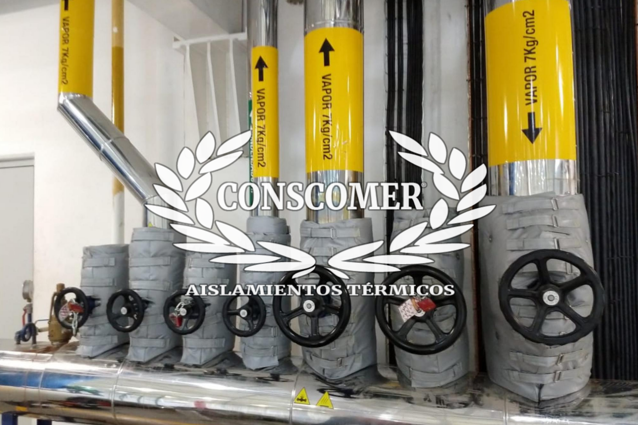 Eficiencia y sostenibilidad